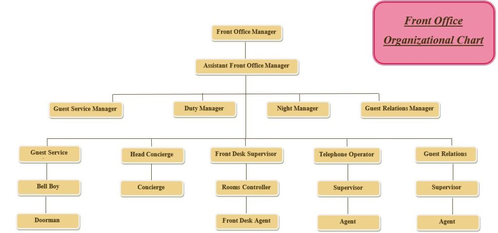 Front Office Organization Chart 1024x480